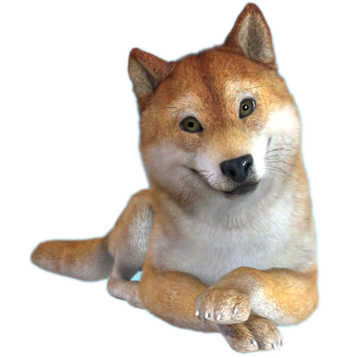 Белый кот — иллюстрация